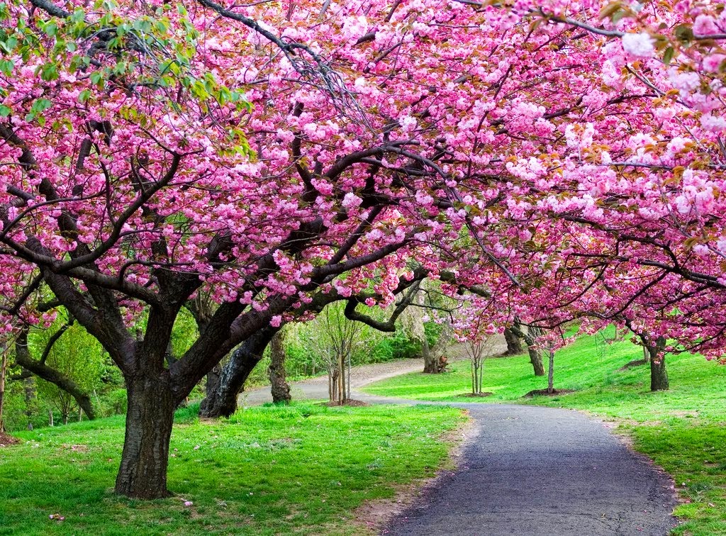 Colori primaverili