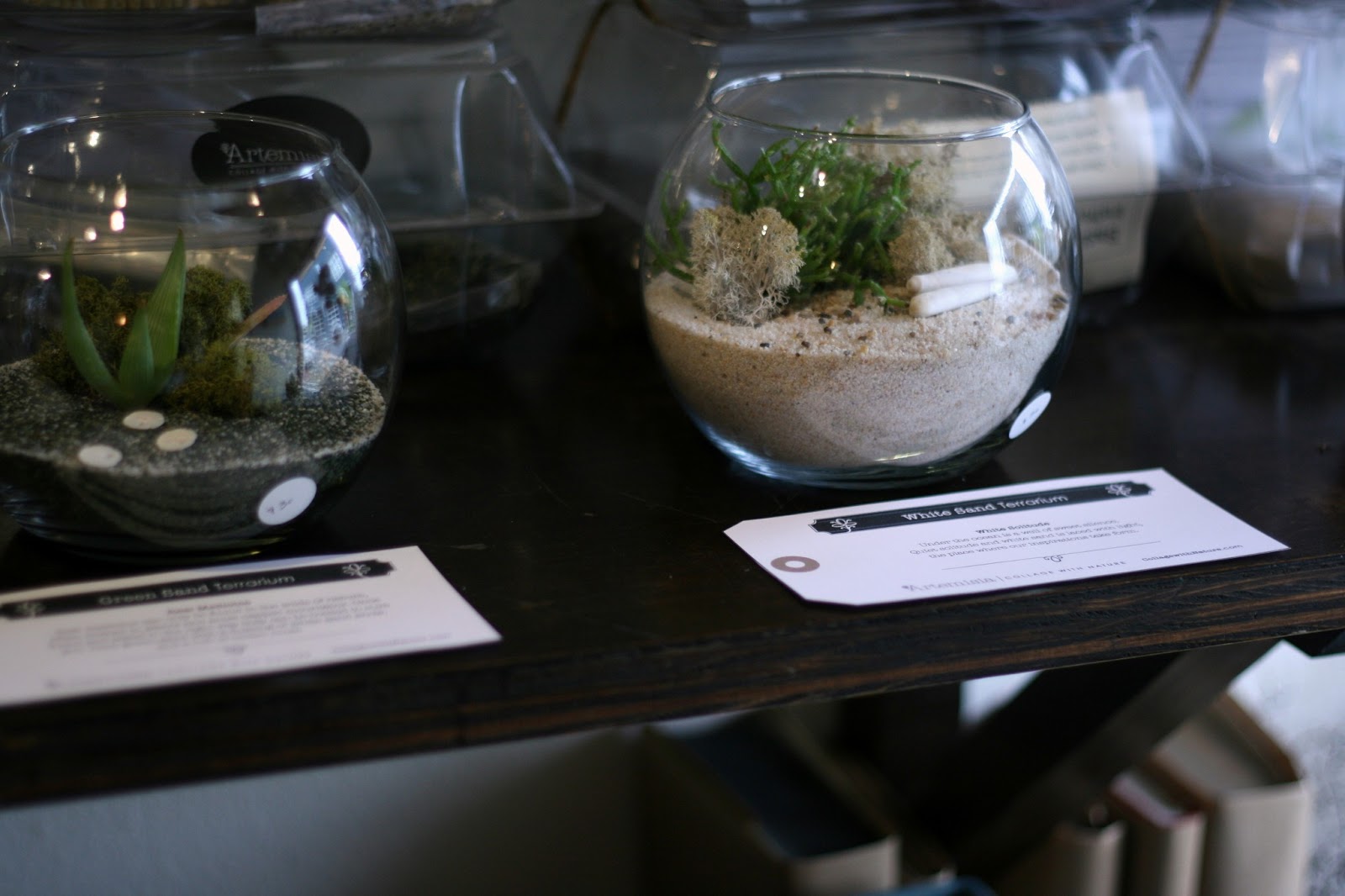 The greatest little terrarium shop and my first attempt... / Create / Enjoy