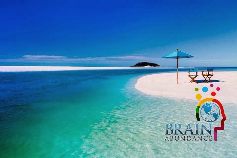 Brain Abundance corporate logo on a blue beach background 