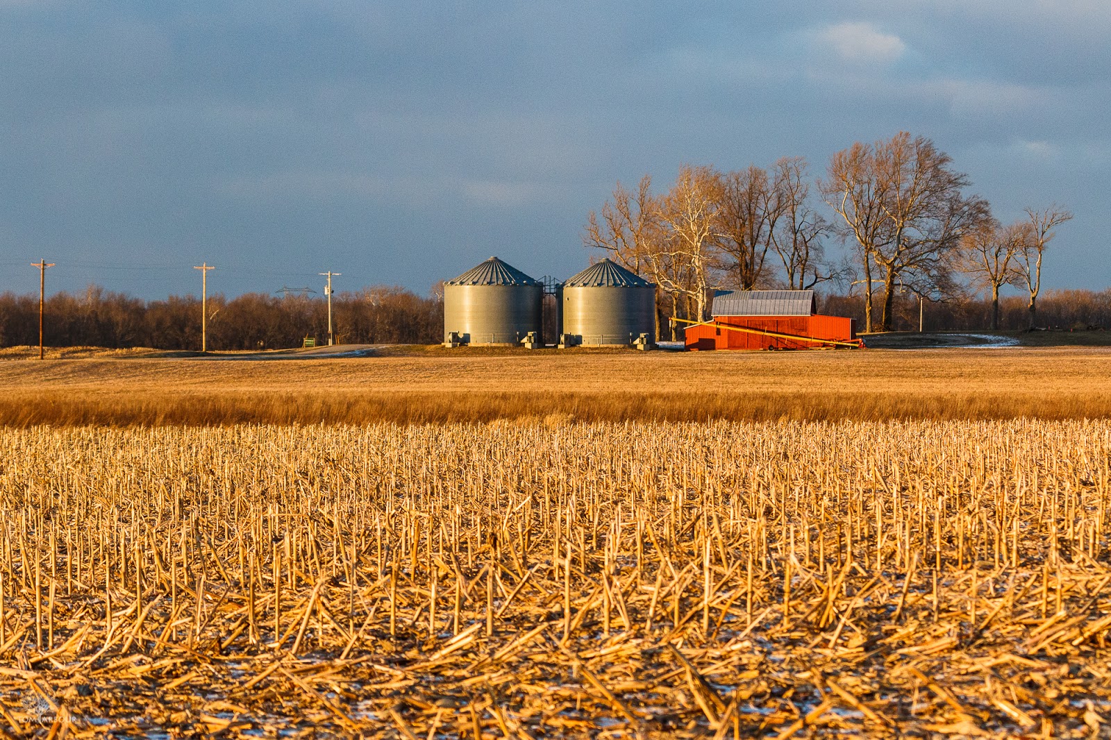 The Ohio Nature Blog The Pickaway Plains