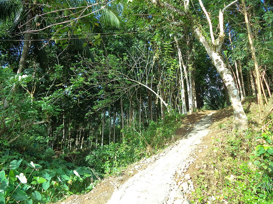 Art Li and Stuff - Brgy. Daraitan Tanay, Rizal Art Li and Stuff - Brgy. Daraitan Tanay, Rizal