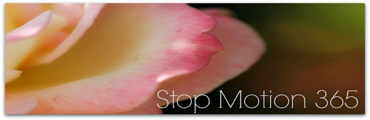 Stop Motion 365