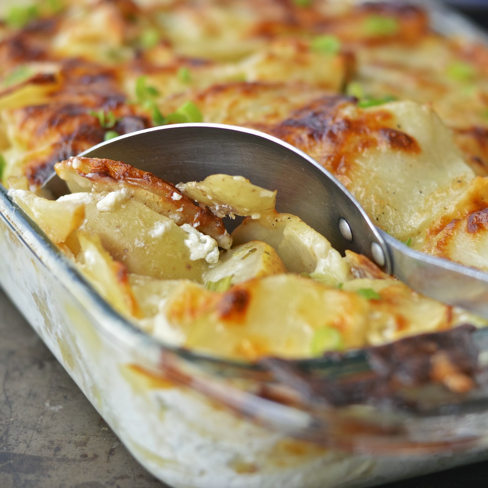 Potato and Apple Gratin Virtually Homemade Potato and Apple Gratin