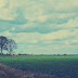 Autumn Manifesto 2012