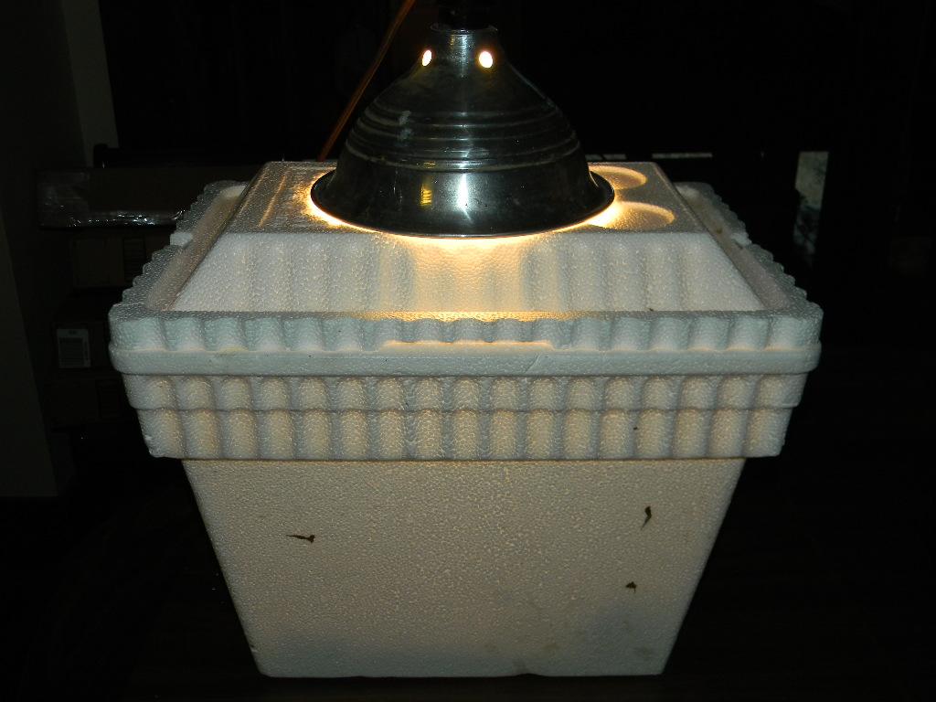 [Un]Cannery Row July 2012