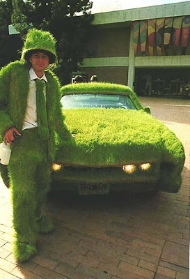 Car Covered with Grass