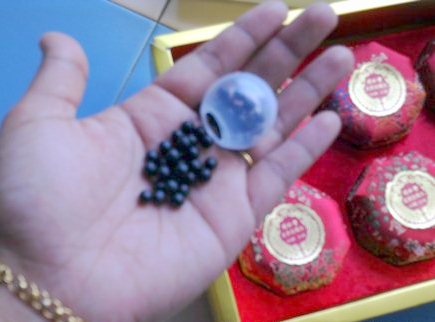 http://4.bp.blogspot.com/-YDm4mJKzHHg/T-qn0NB_30I/AAAAAAAAAJs/OgigGW7x2Mg/s1600/herba-maharani.jpg
