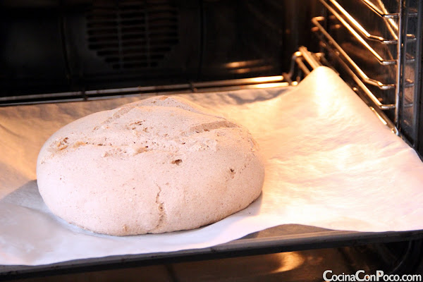 Pan de Cerveza - Sin Gluten - Receta paso a paso Pan de Cerveza - Sin Gluten - Receta paso a paso
