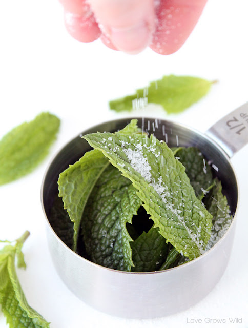 Mint Sugar is perfect to sprinkle on fresh fruit, rim cocktail glasses, or stir into tea or lemonade! Get the recipe at LoveGrowsWild.com