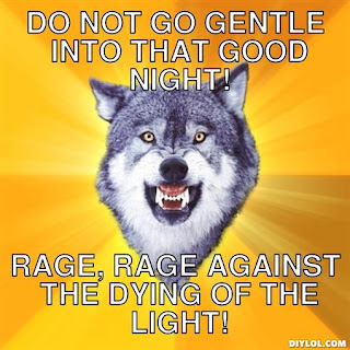 ... Do not go gentle into that good night explication essay Essay on