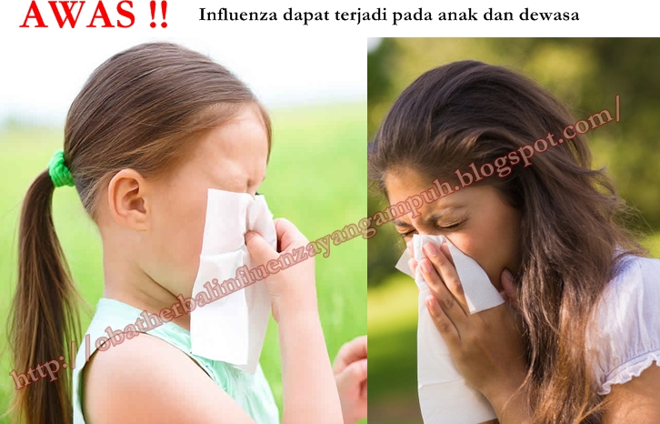 obat herbal influenza yang uh obat herbal influenza yang uh