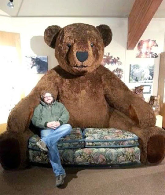 Unique Teddy Bear Sofa