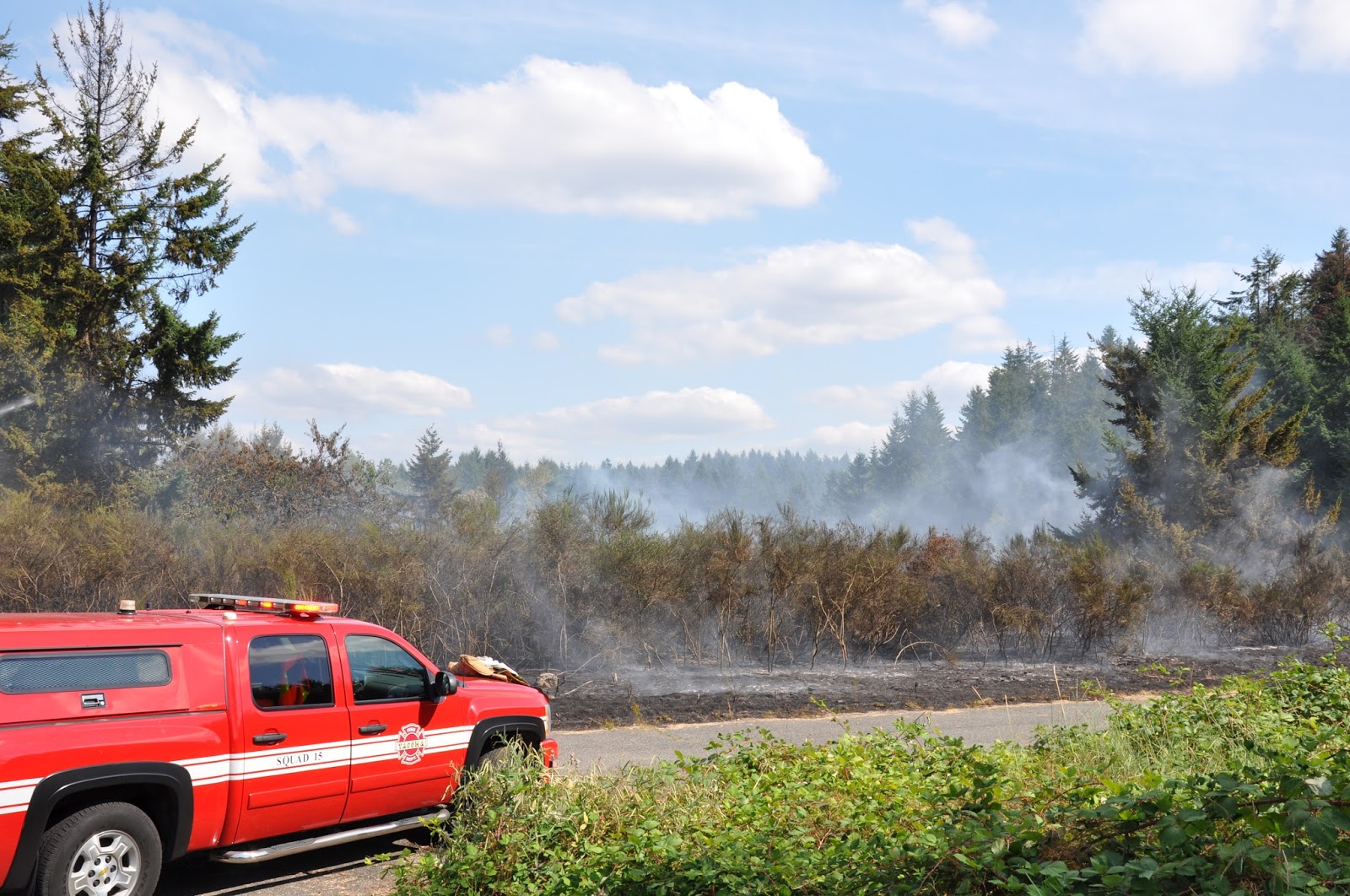 Large brush fire on Tacoma’s Eastside – NW Fire Blog