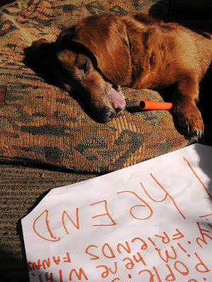 dog author