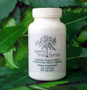 Neem Leaves Pills Benefits