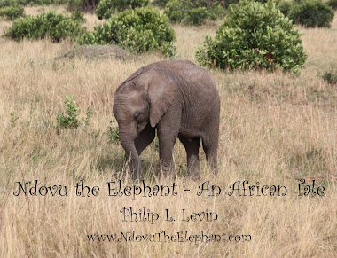Ndovu the Elephant - An African Tale