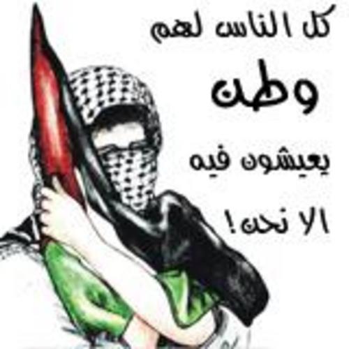 عزف على وتر الاوطان عزف على وتر الاوطان