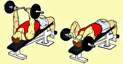 gimnasio gimnasio