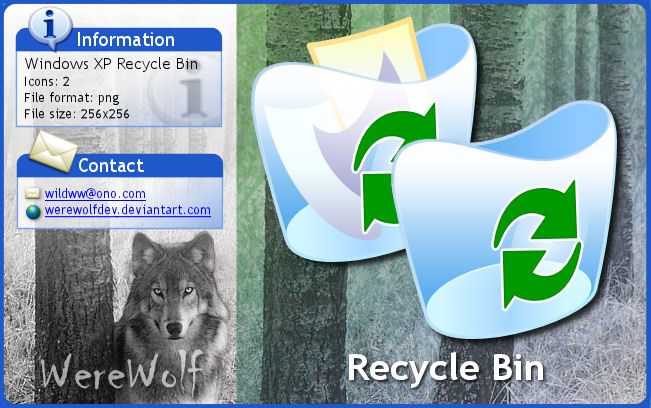 Windows Vista Missing Recycle Bin