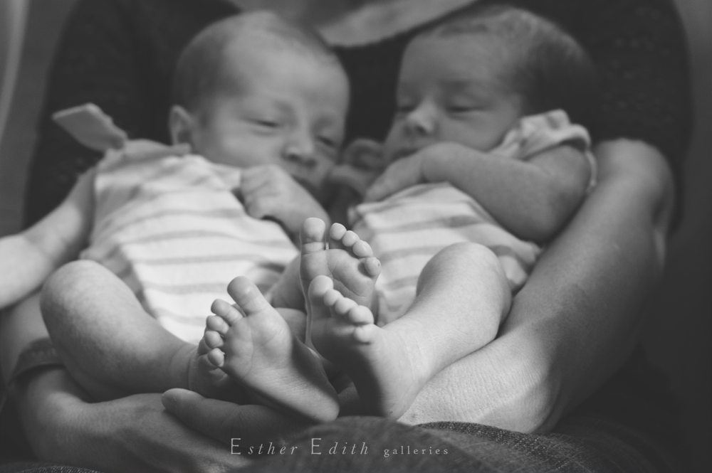 Boston Massachusetts Newborn Photography Boston Massachusetts Newborn Photographer