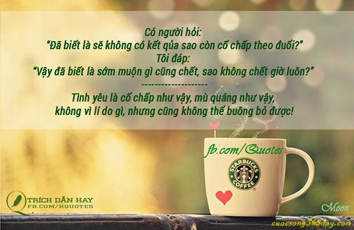 cau-noi-hay-ve-cuoc-song-1.jpg