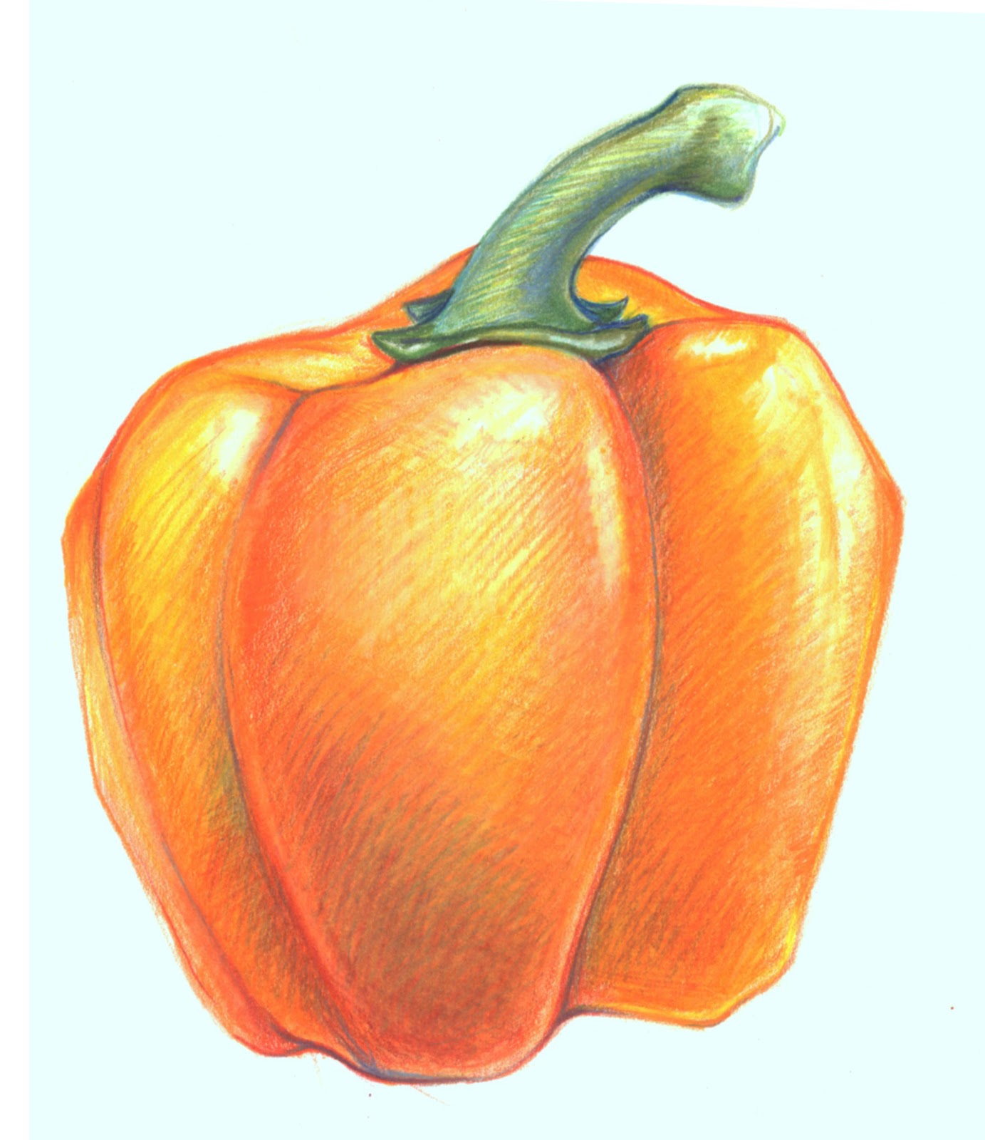 Marie Dauenheimer's Art and Anatomy Blog: Vibrant Drawings Using