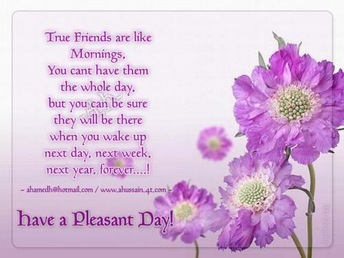 friend greetings card