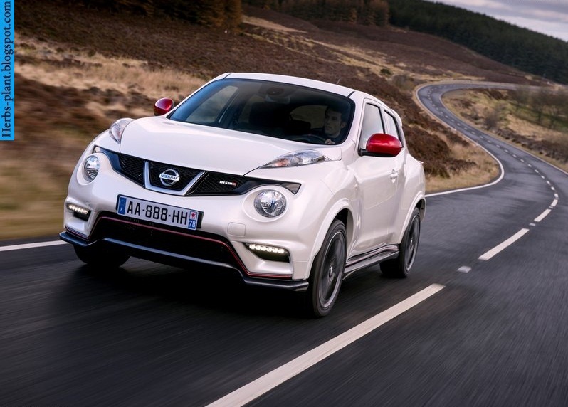Nissan juke car 2013 front view - صور سيارة نيسان جوك 2013 من الخارج Nissan juke car 2013 front view - صور سيارة نيسان جوك 2013 من الخارج