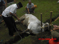 Acara Tahunan Qurban Idul Adha 2009-2010