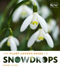 My snowdrop book