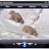 تحميل قارئ ميلتيميديا Haihaisoft Universal Player