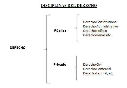 DISCIPLINAS DE DERECHO disciplinas de derecho: