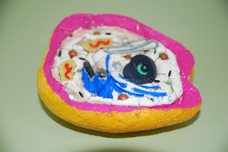 ESTAS MAQUETAS HAN SIDO REALIZADAS POR LOS ALUMNOS DE 3º DE ...