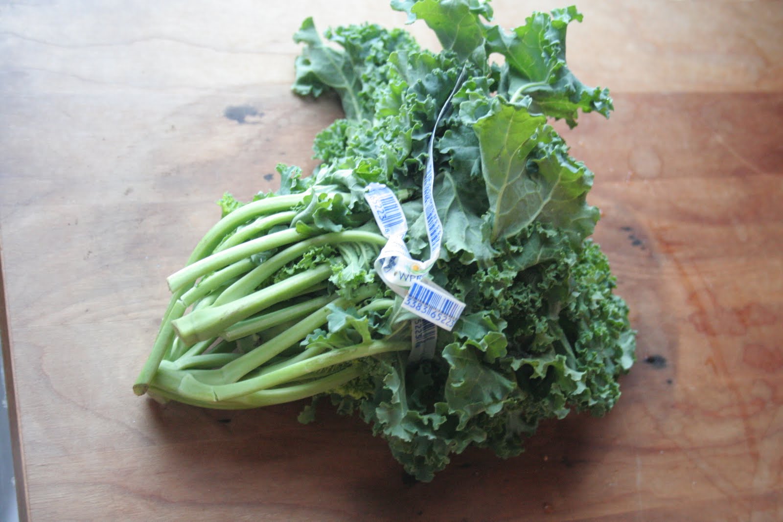 What Do Kale Look Like at Anna Hilton blog
