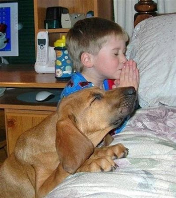  Dog and boy saying their prayers before sleep