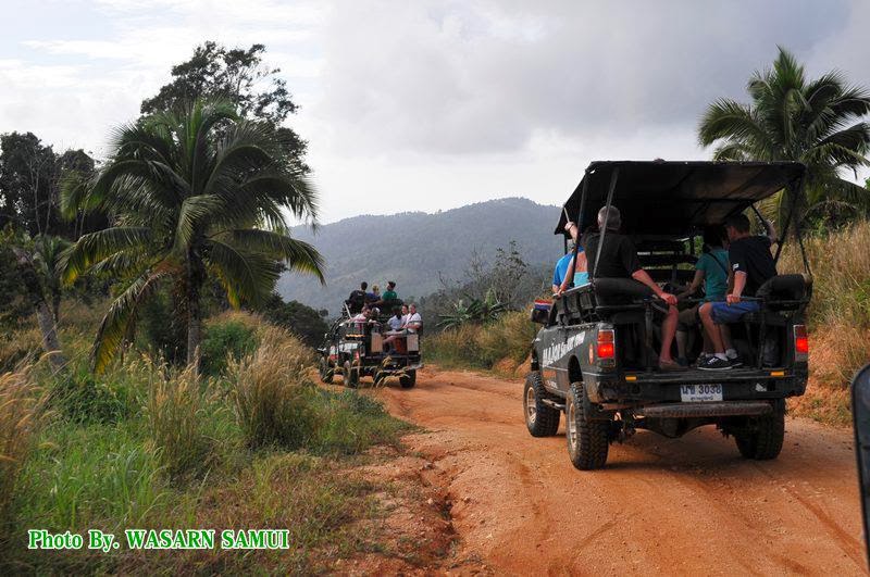 Major Safari Tour Koh Samui Suratthani Thailand