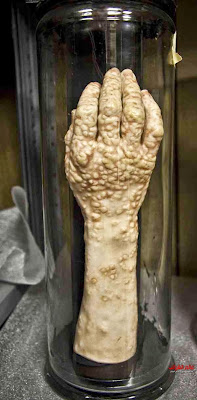 أماكن غريبة، عالم العجائب