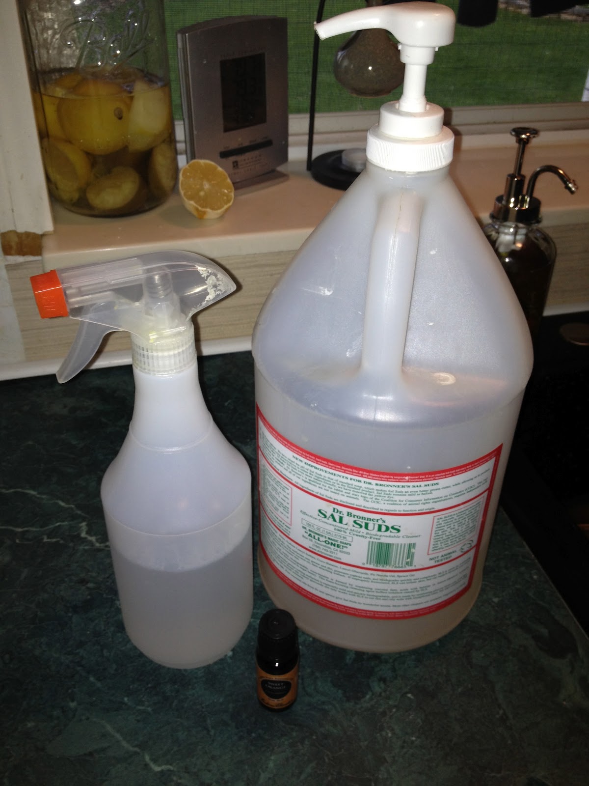 Health Starts in the Kitchen DIY Easy Cleaning Spray