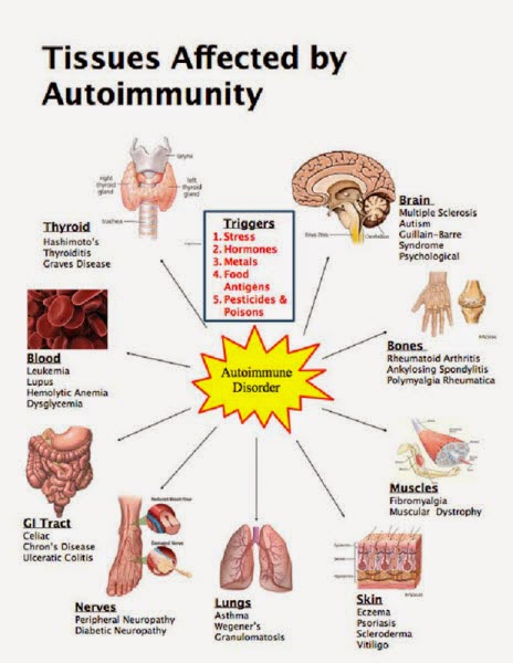 a research on thyroid disease and its effects on the human body Damage to the thyroid gland affects the body's metabolic rate weight loss and gain depending on the phase of autoimmune destruction of the thyroid gland. a research on thyroid disease and its effects on the human body Damage to the thyroid gland affects the body's metabolic rate weight loss and gain depending on the phase of autoimmune destruction of the thyroid gland.