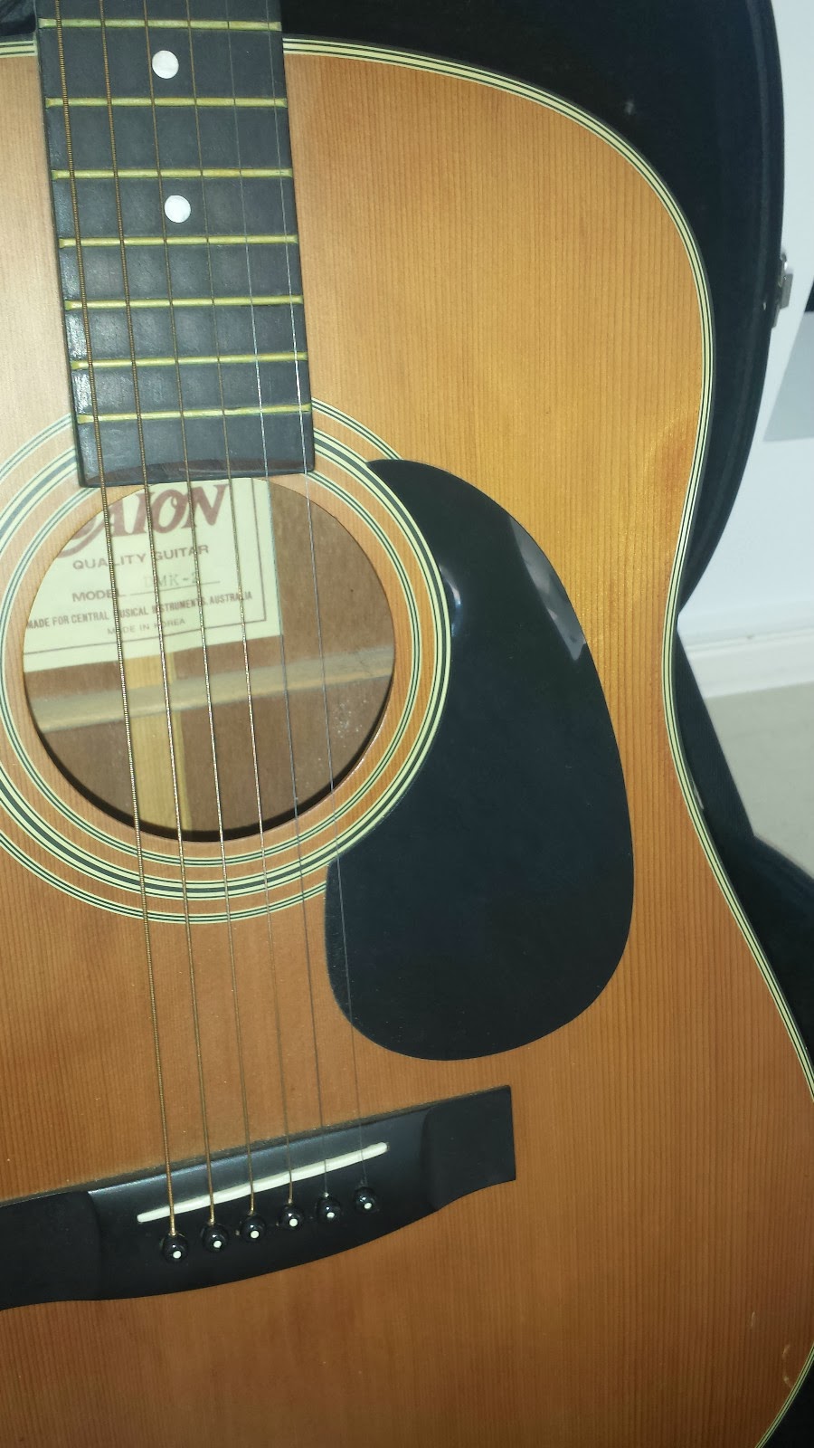 Daion Guitars Down Under Daion 6 String Acoustic on