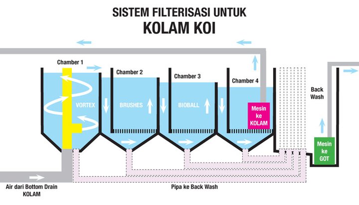 Ikan Hias: sistem filtrasi untuk kolam koi