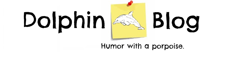 Dolphin Blog