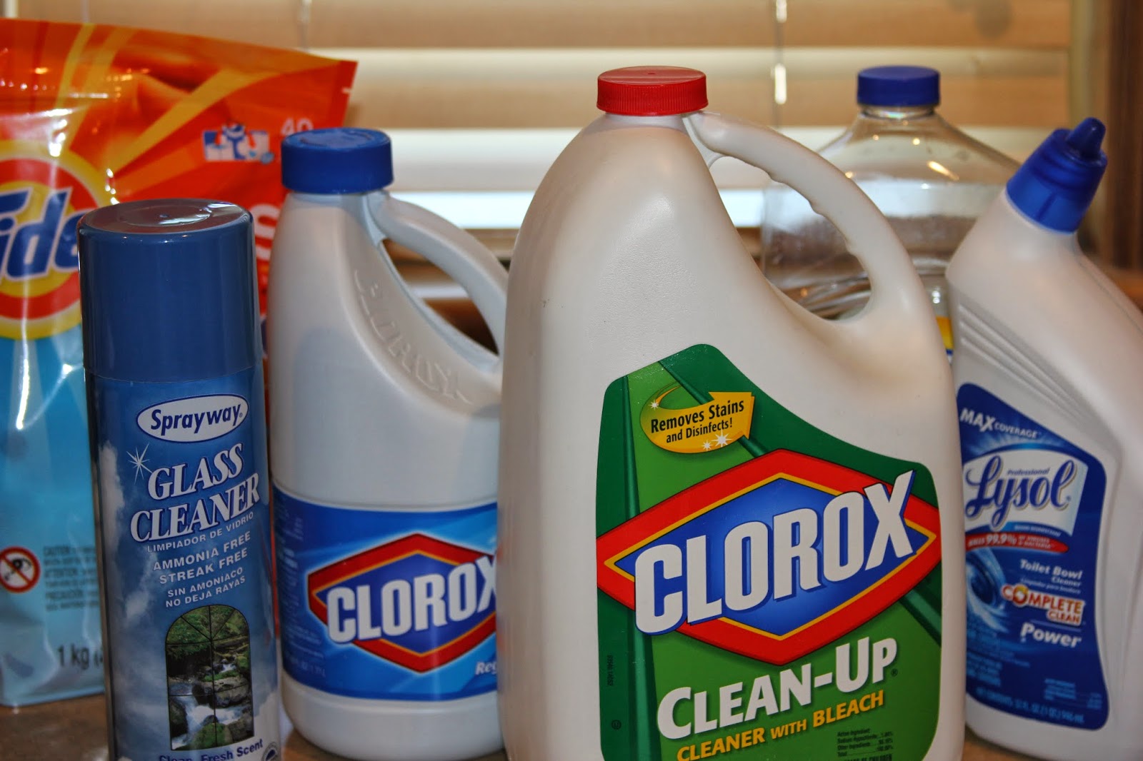 Time of Our Lives January Week 2 Detergents and Cleansers