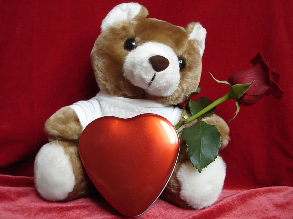 Ositos con rosas de amor - Imagui