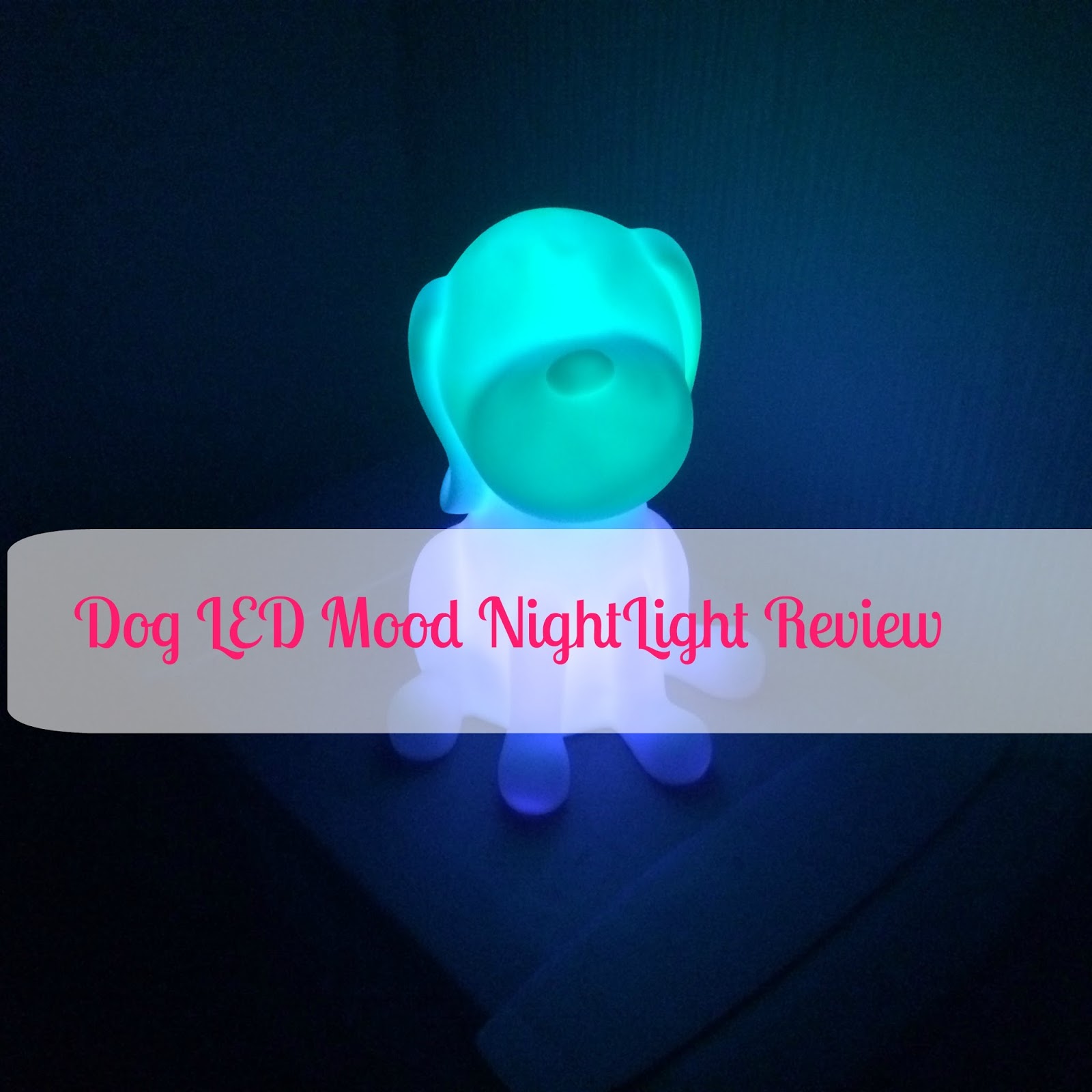 LED Dog Mood Night Light Review Newcastle Family Life