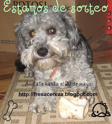 Mi primer sorteo
