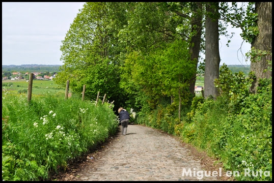 Ardenas-Flamencas-Koppenberg