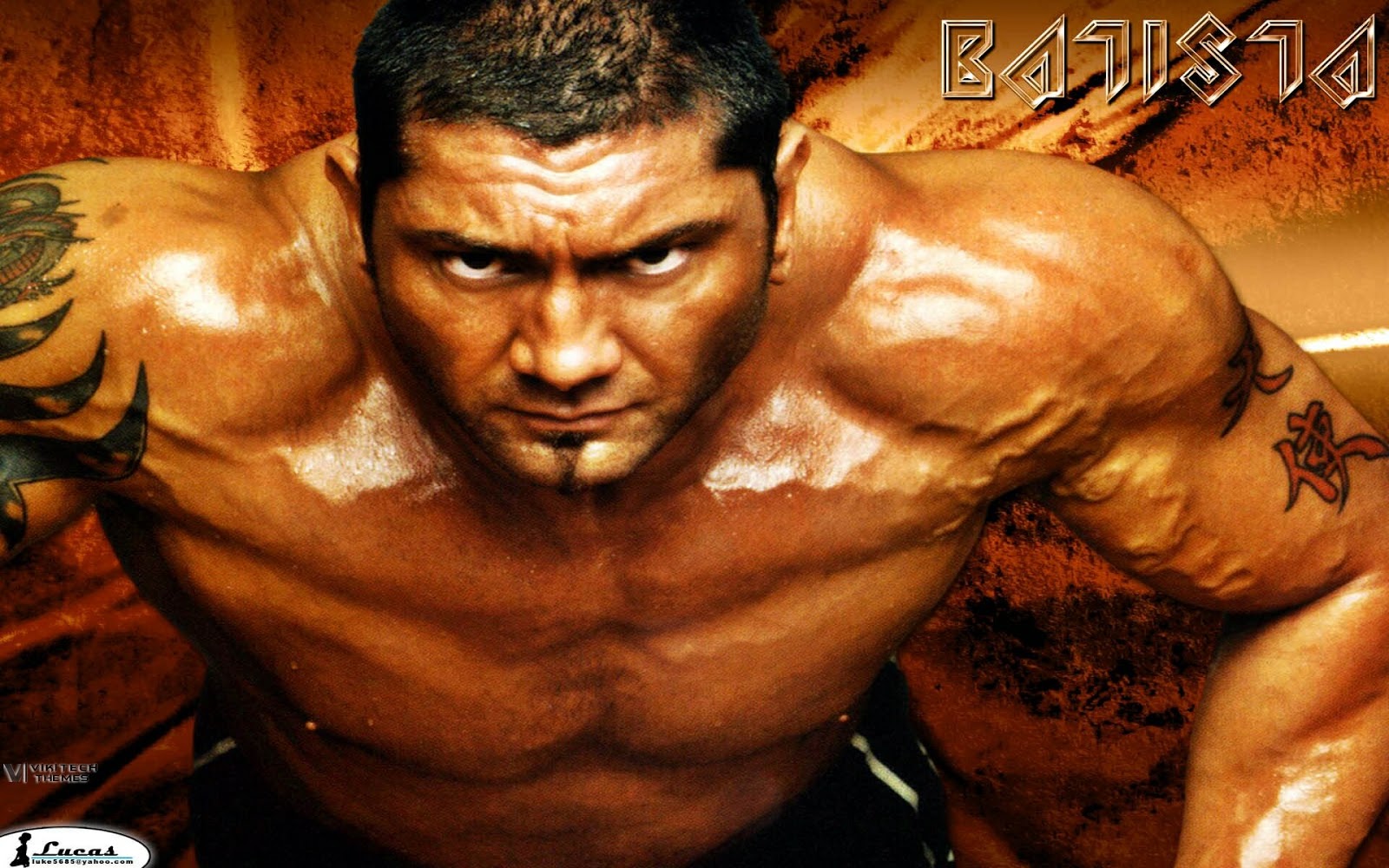 Free Download WWE Full HD Wallpapers 2013 (1920x1200) | free download