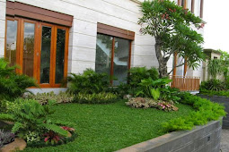 Small Garden gives freshness to make the Home more Beautiful and Natural