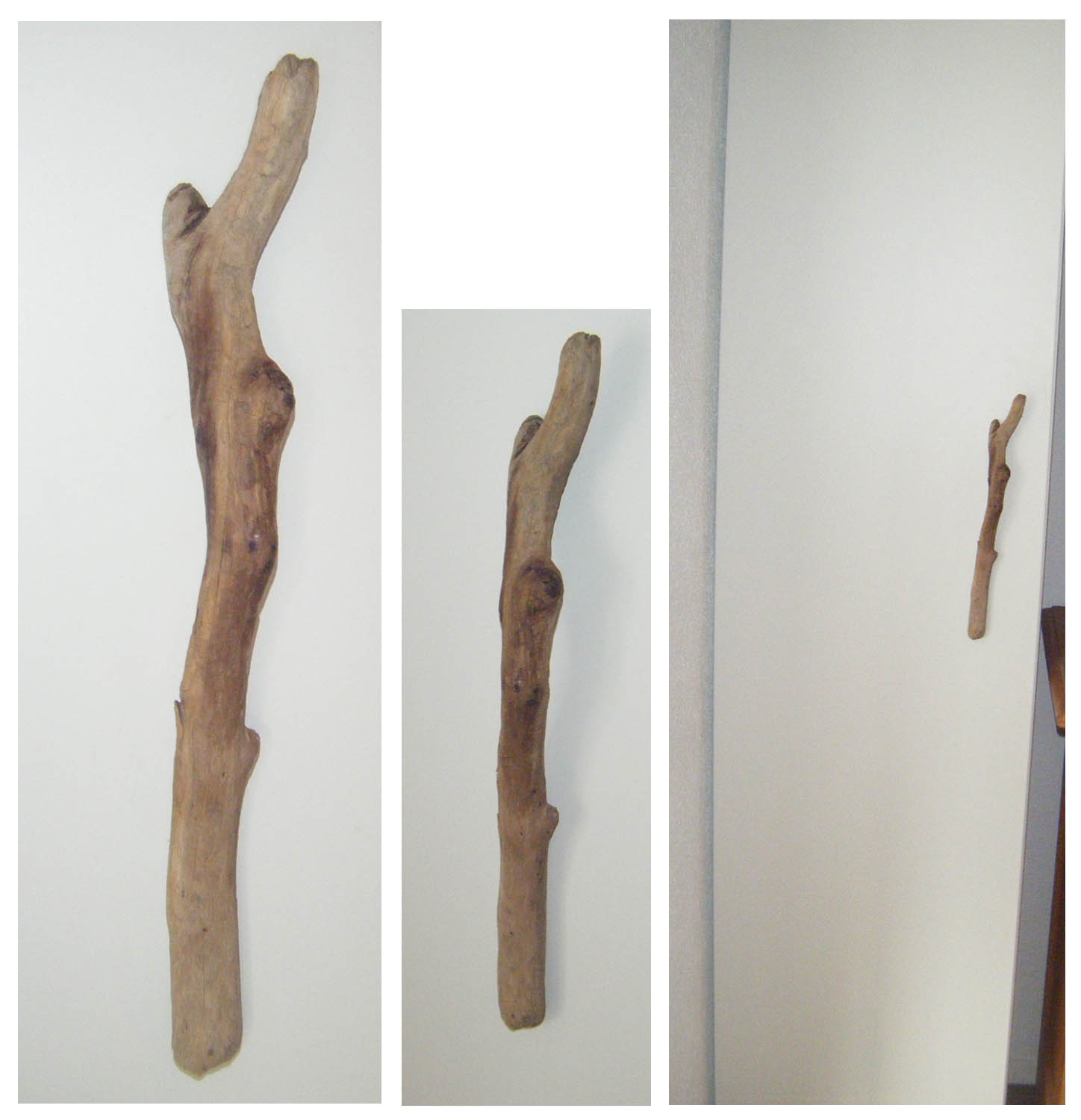 Monis Wirkstatt: Juli 2011